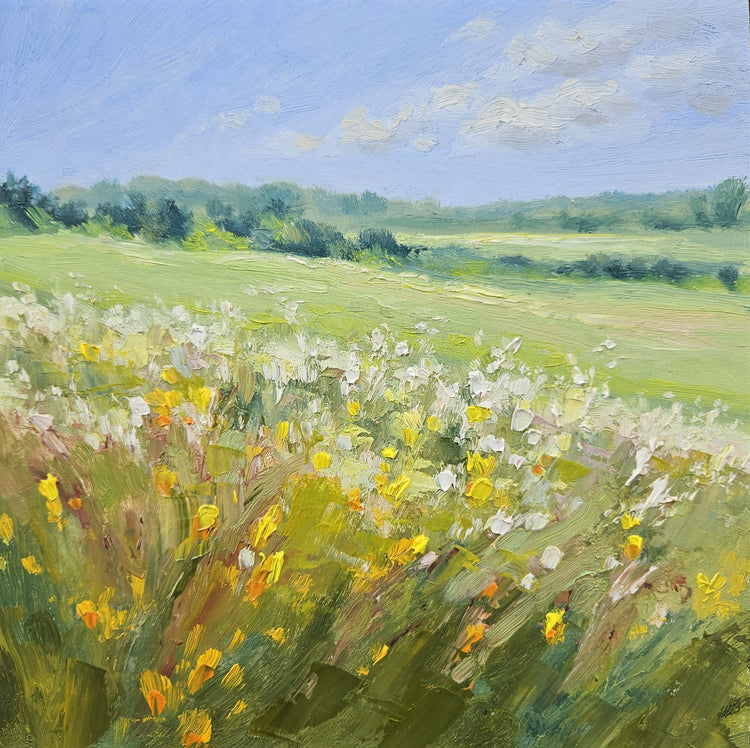 Oil Paintings