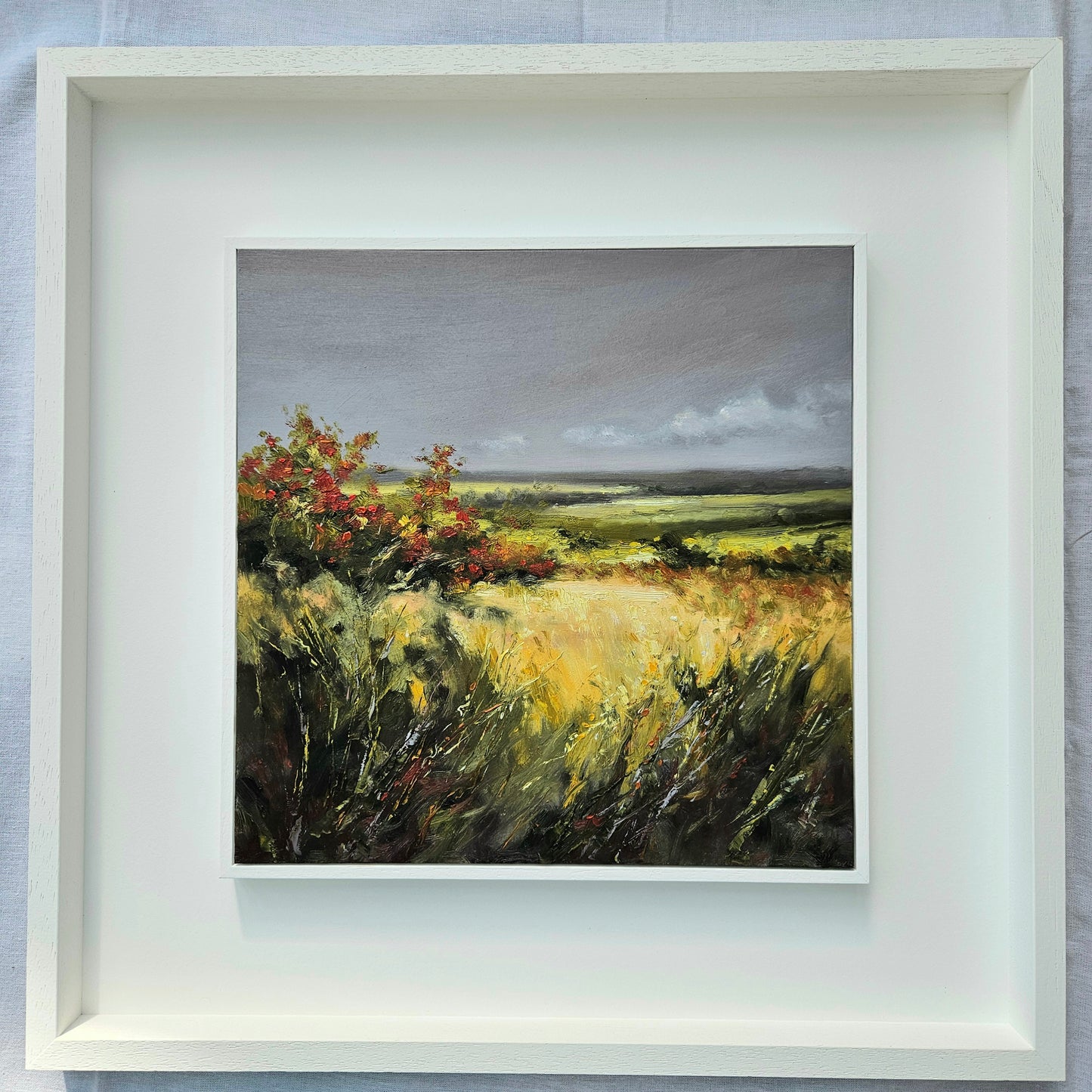 Beyond the Hawthorns