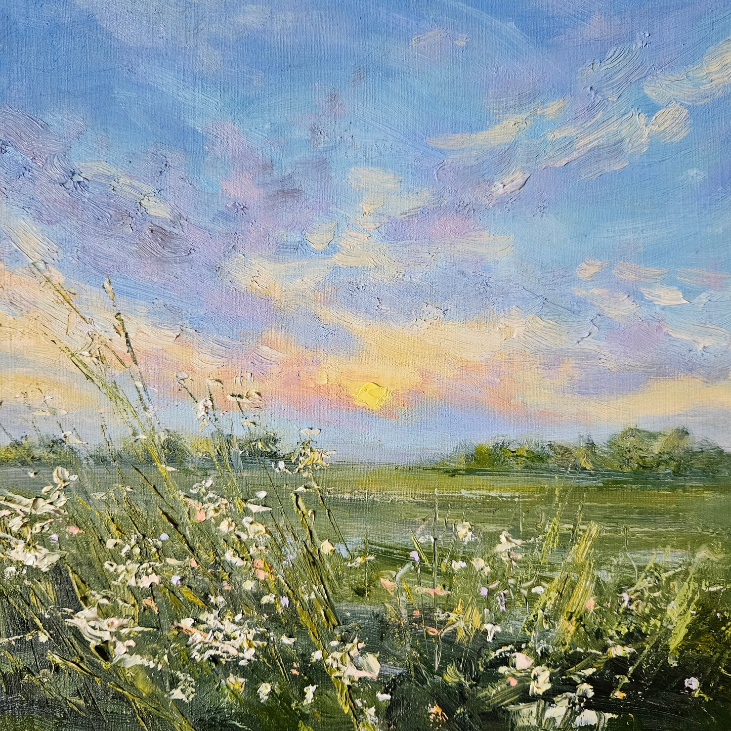 Early Evening Meadow