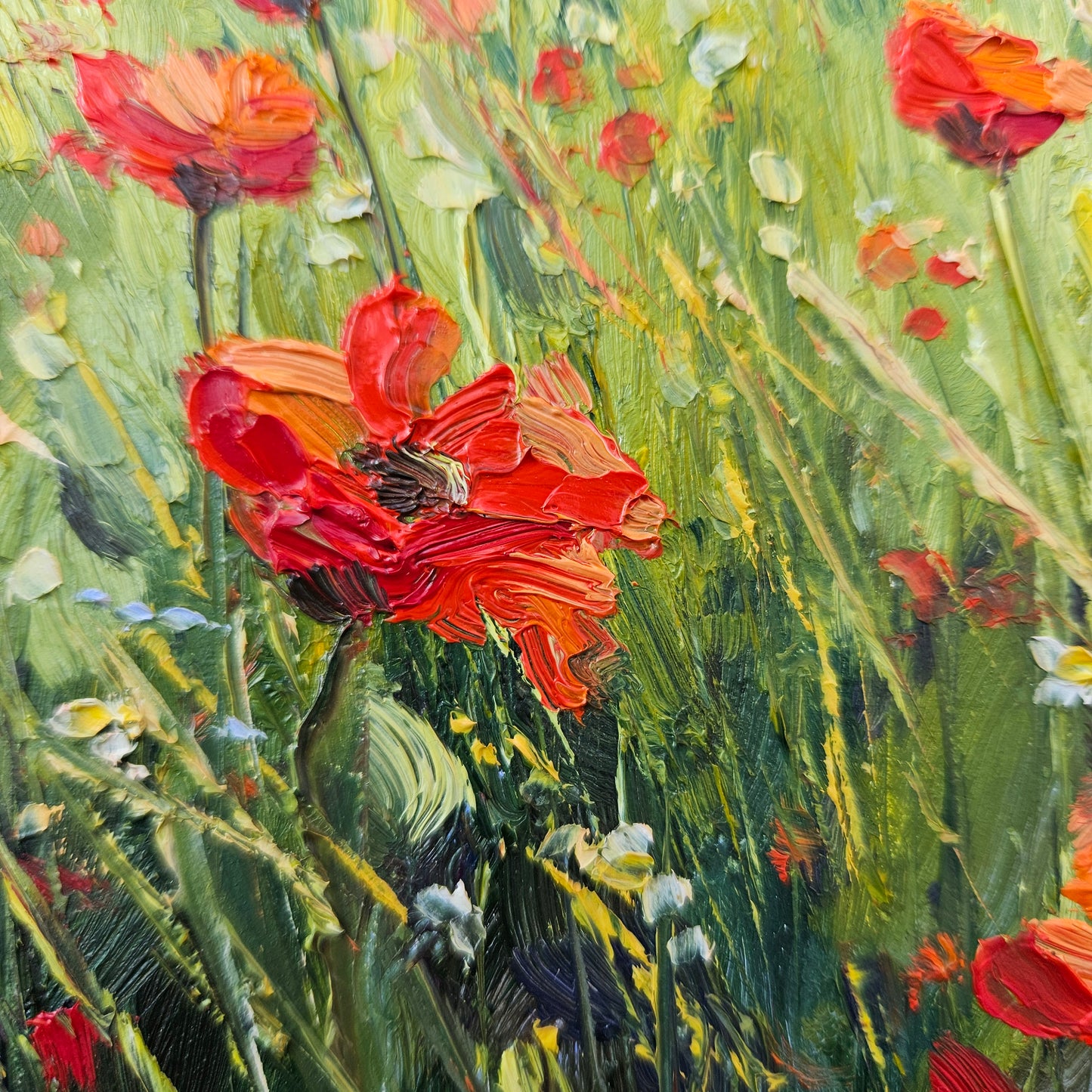 Poppy Dance (Currently exhibited at and available from The Point Contemporary)