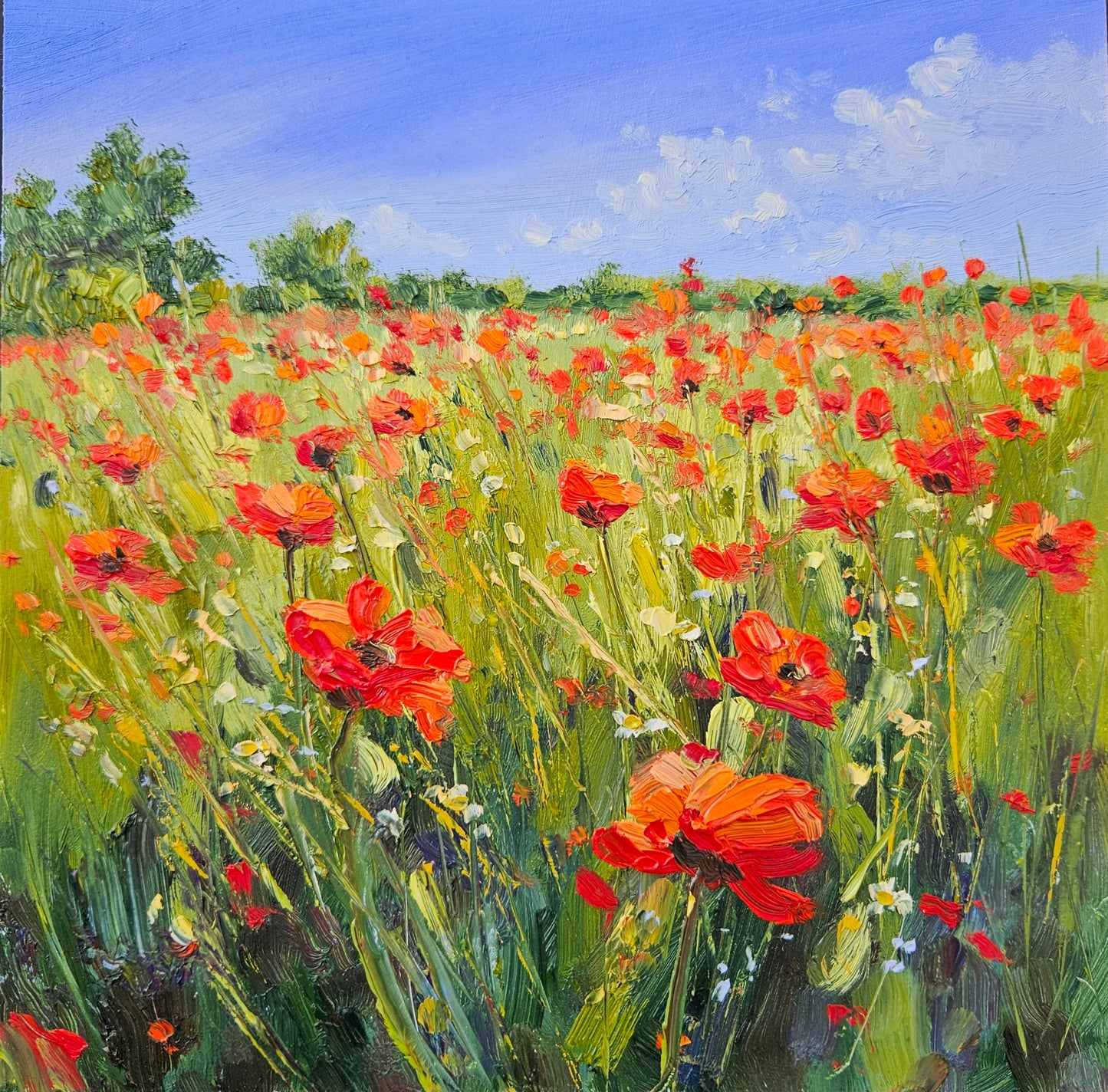 Poppy Dance (Currently exhibited at and available from The Point Contemporary)