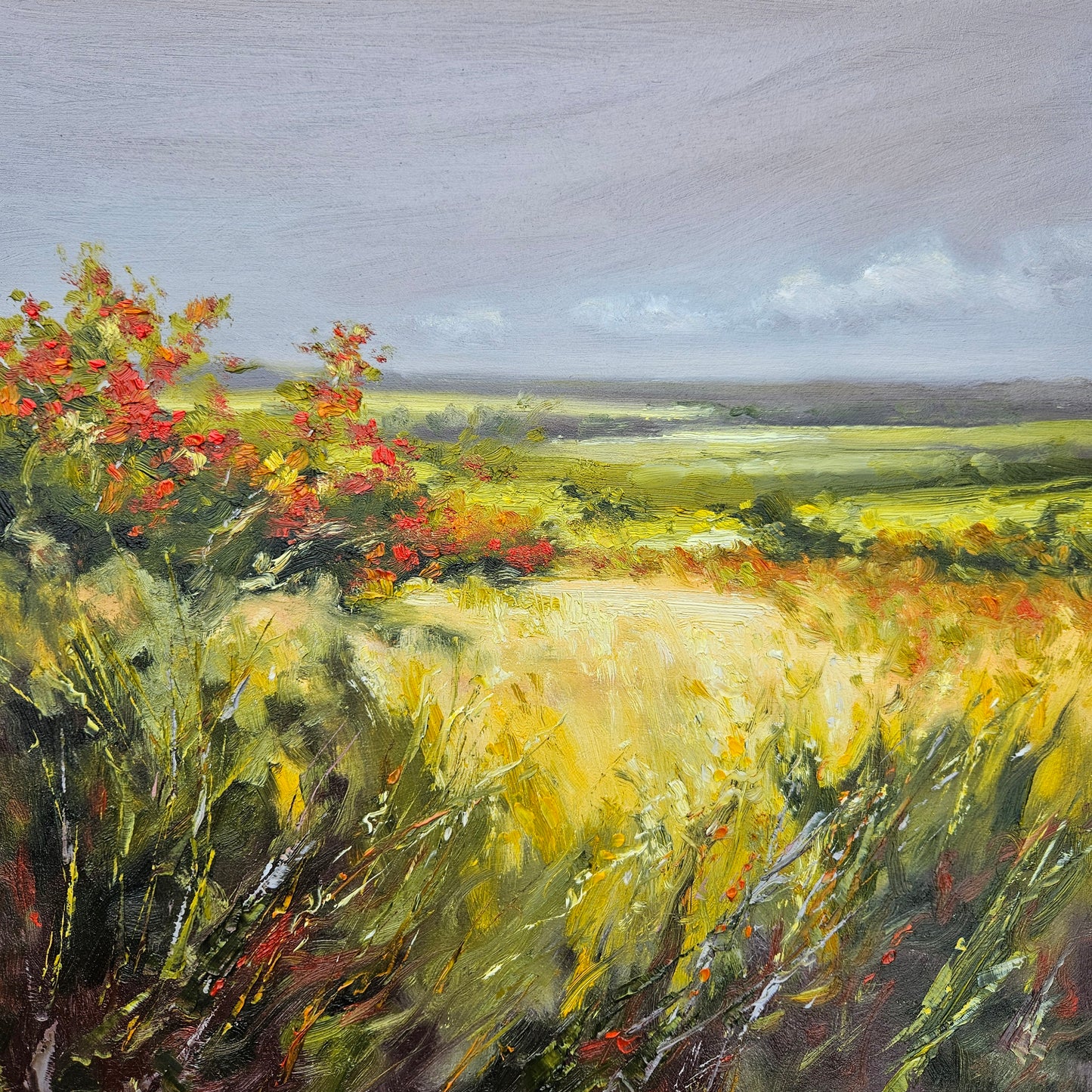 Beyond the Hawthorns