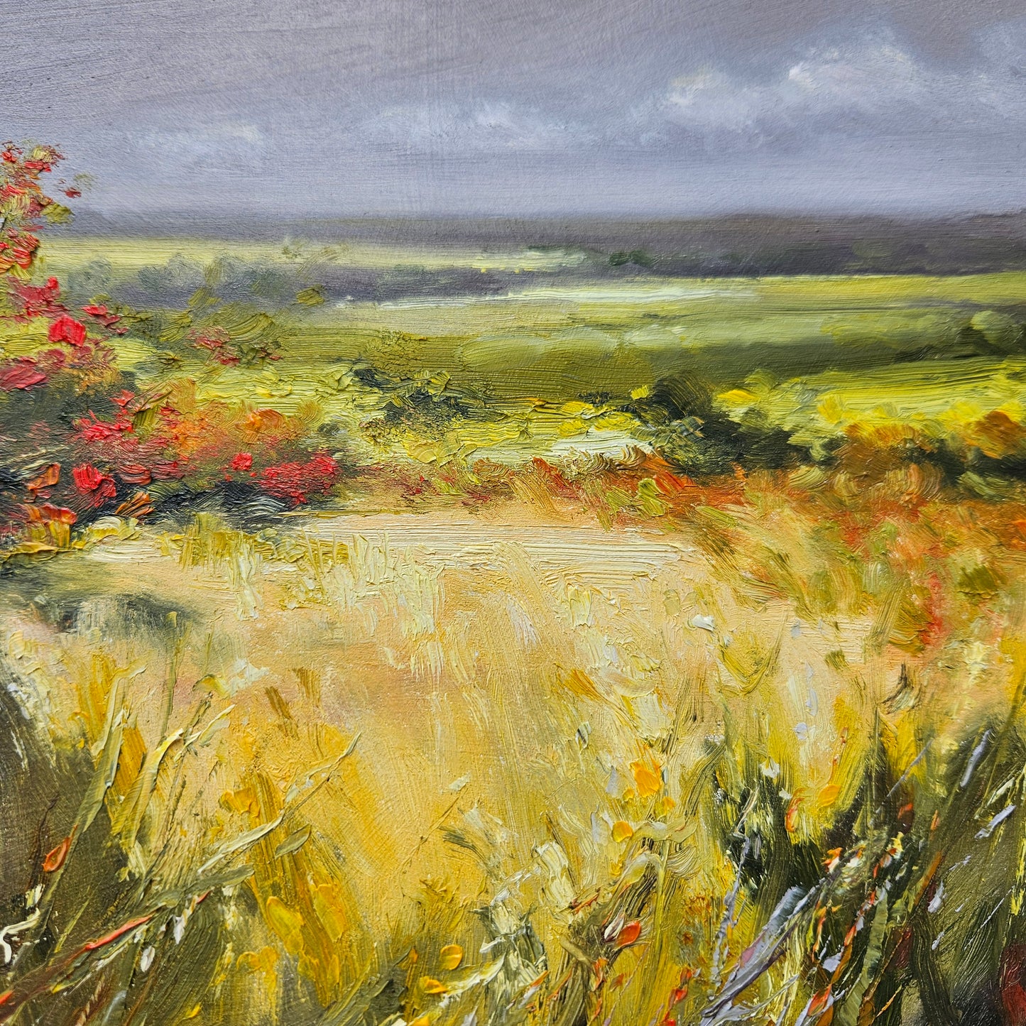 Beyond the Hawthorns