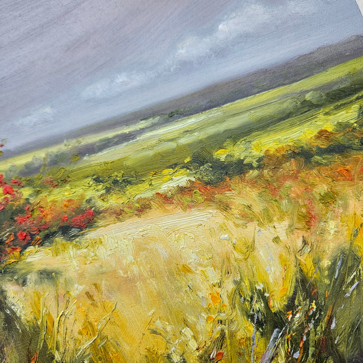 Beyond the Hawthorns