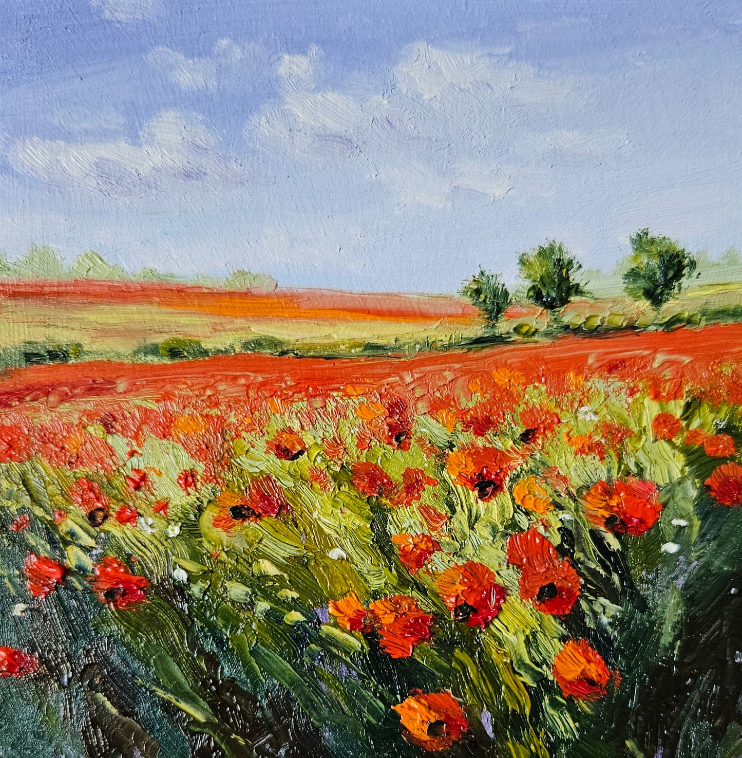 Poppy Fields (Sold by The Point Contemporary, Cromer)