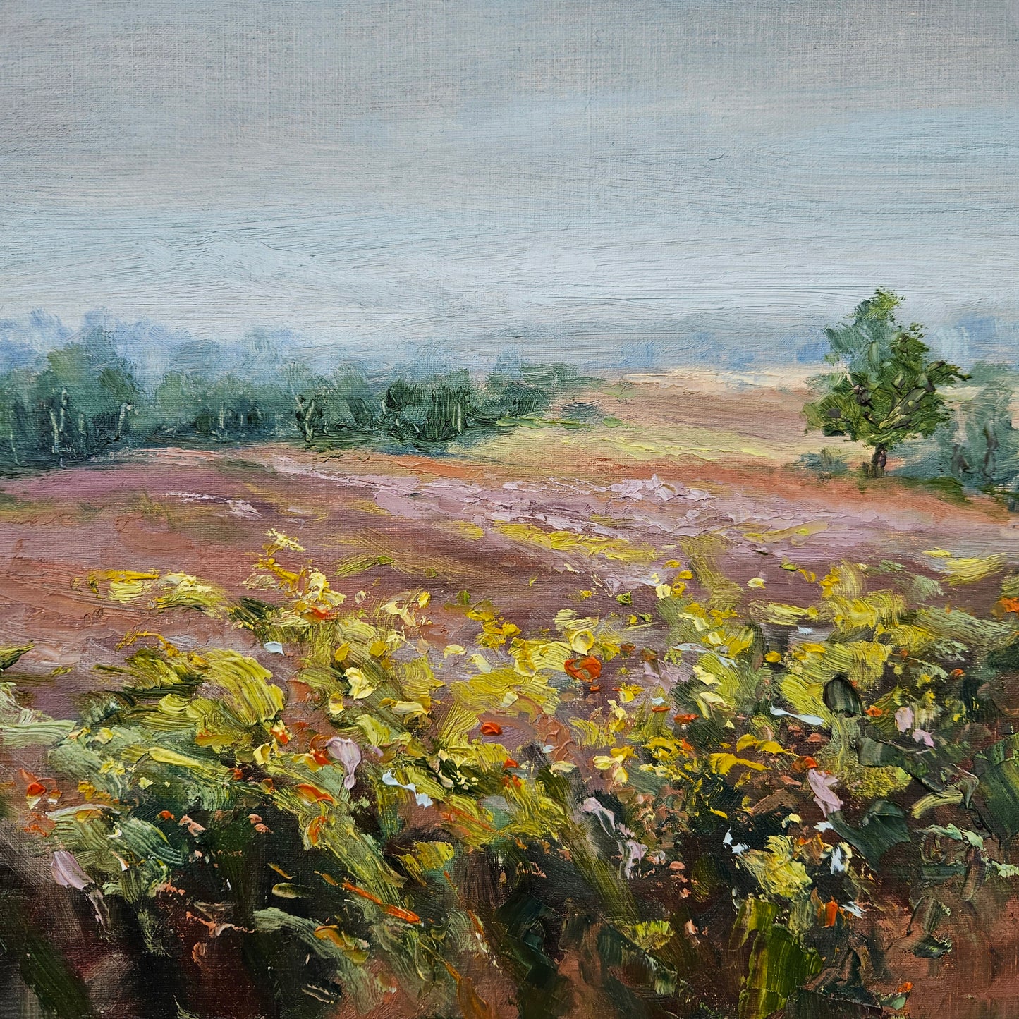 Around the Heath