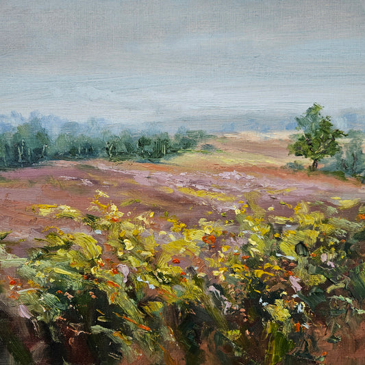 Around the Heath