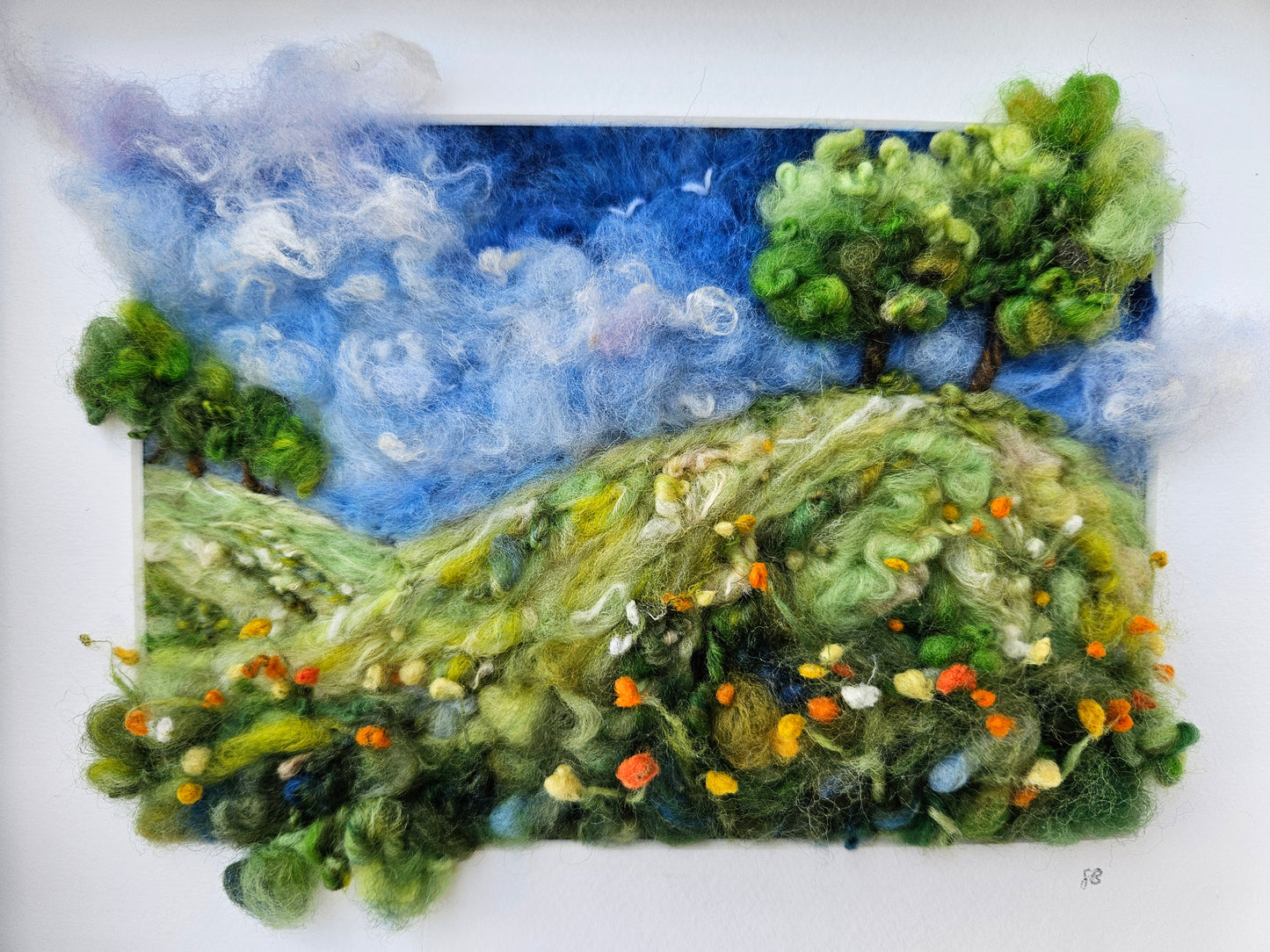 Meadow Flowers