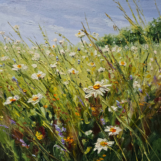 Where Daisies Dance