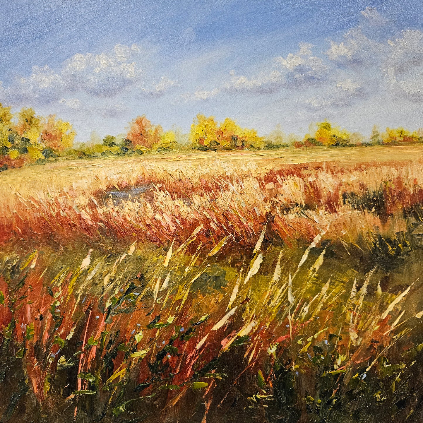 Dancing Autumn Reeds