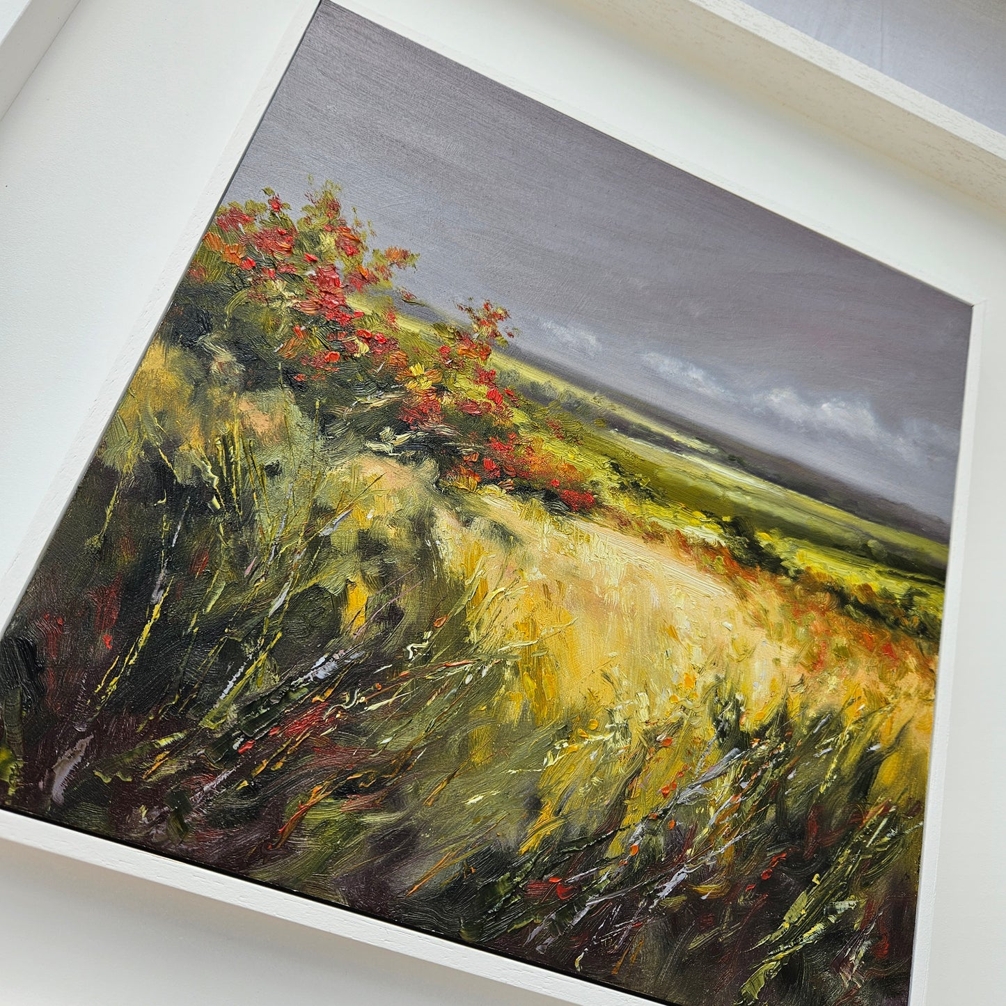 Beyond the Hawthorns