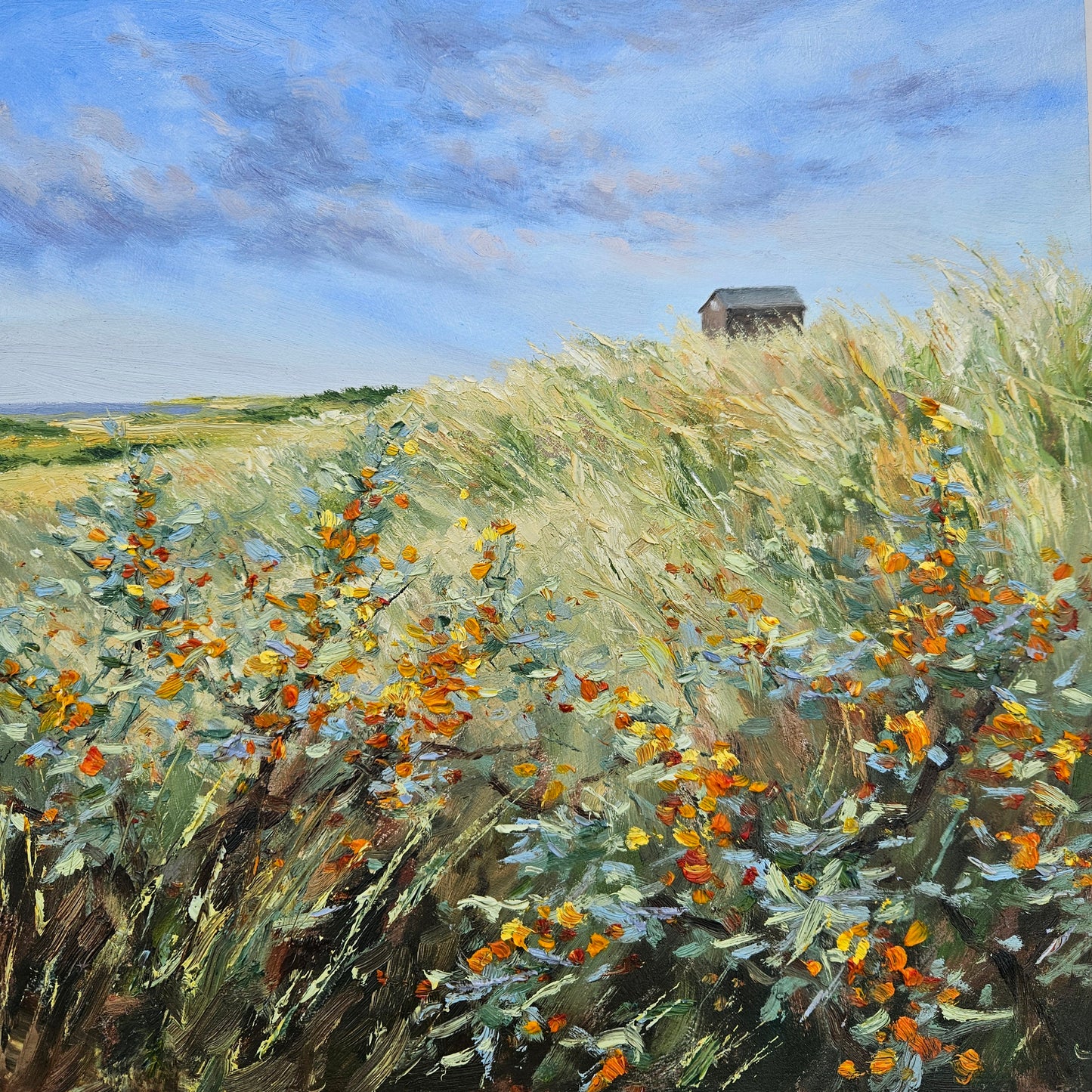 Watching Over Sea Buckthorn