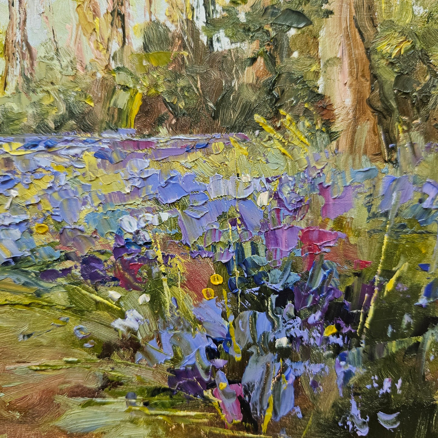 Saturday's Bluebells