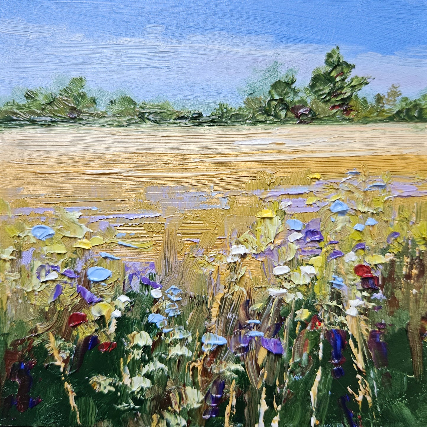 Wildflowers Find a Way - To be released soon