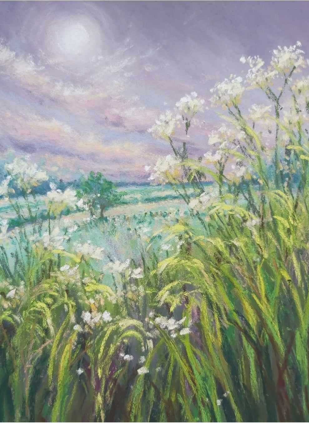 Meadow Haze - Limited Edition Giclée Print