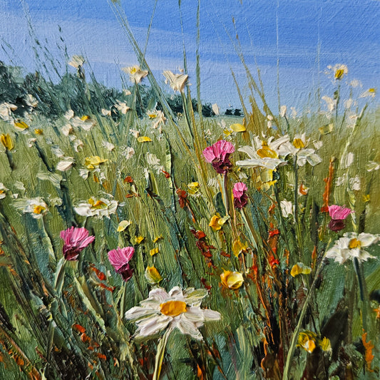 Little Meadow - To be released soon