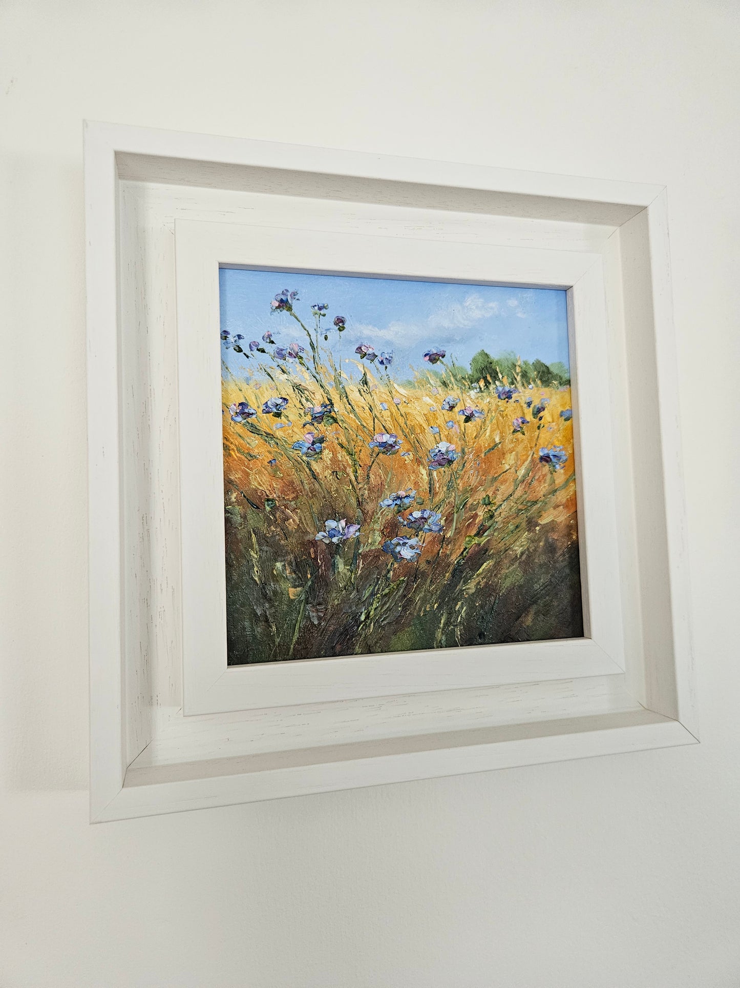Cornflowers