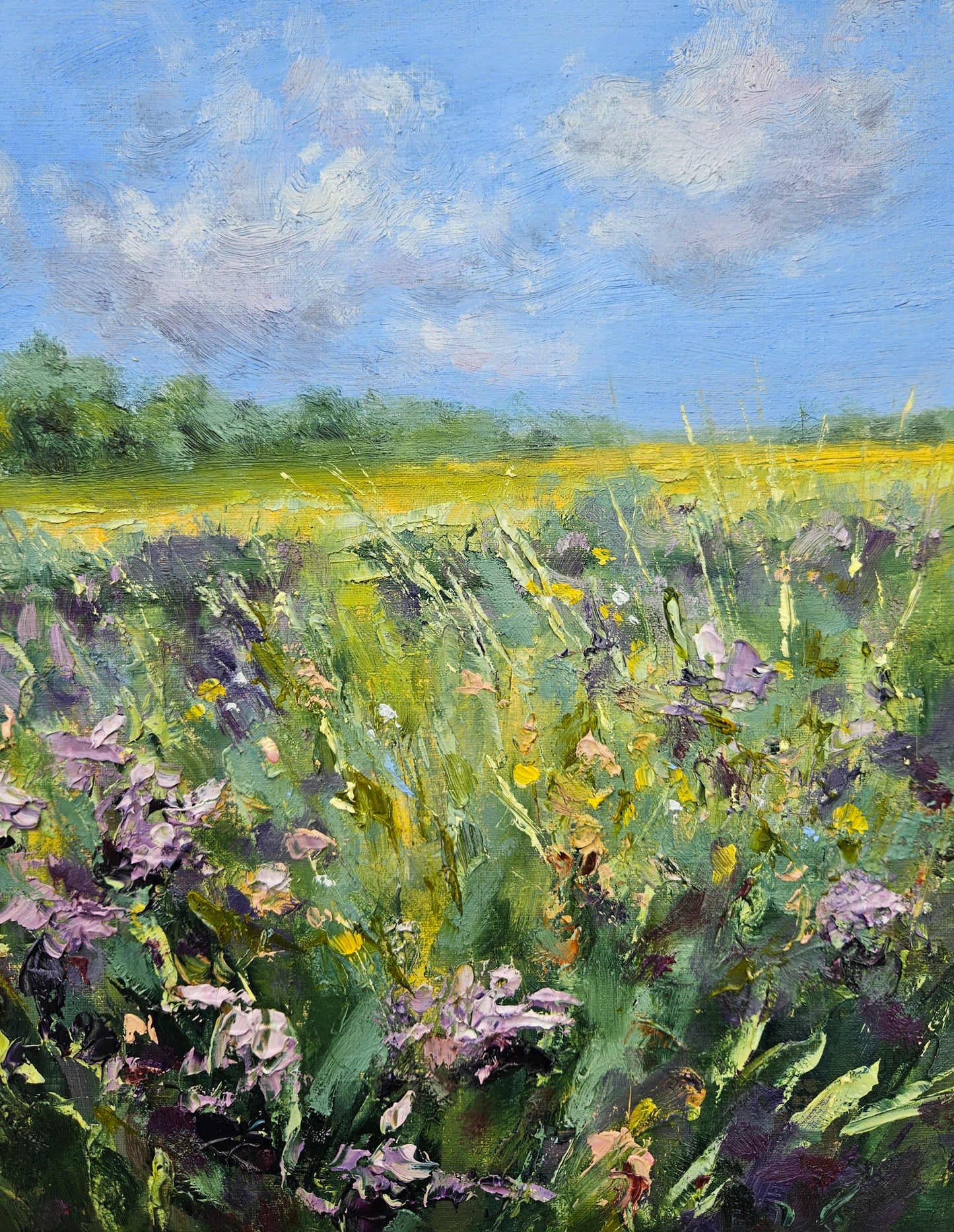 Marsh Meadow