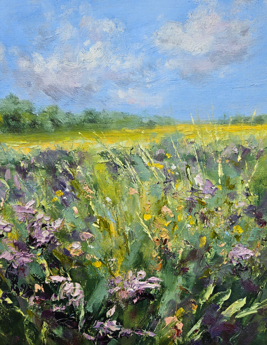 Marsh Meadow