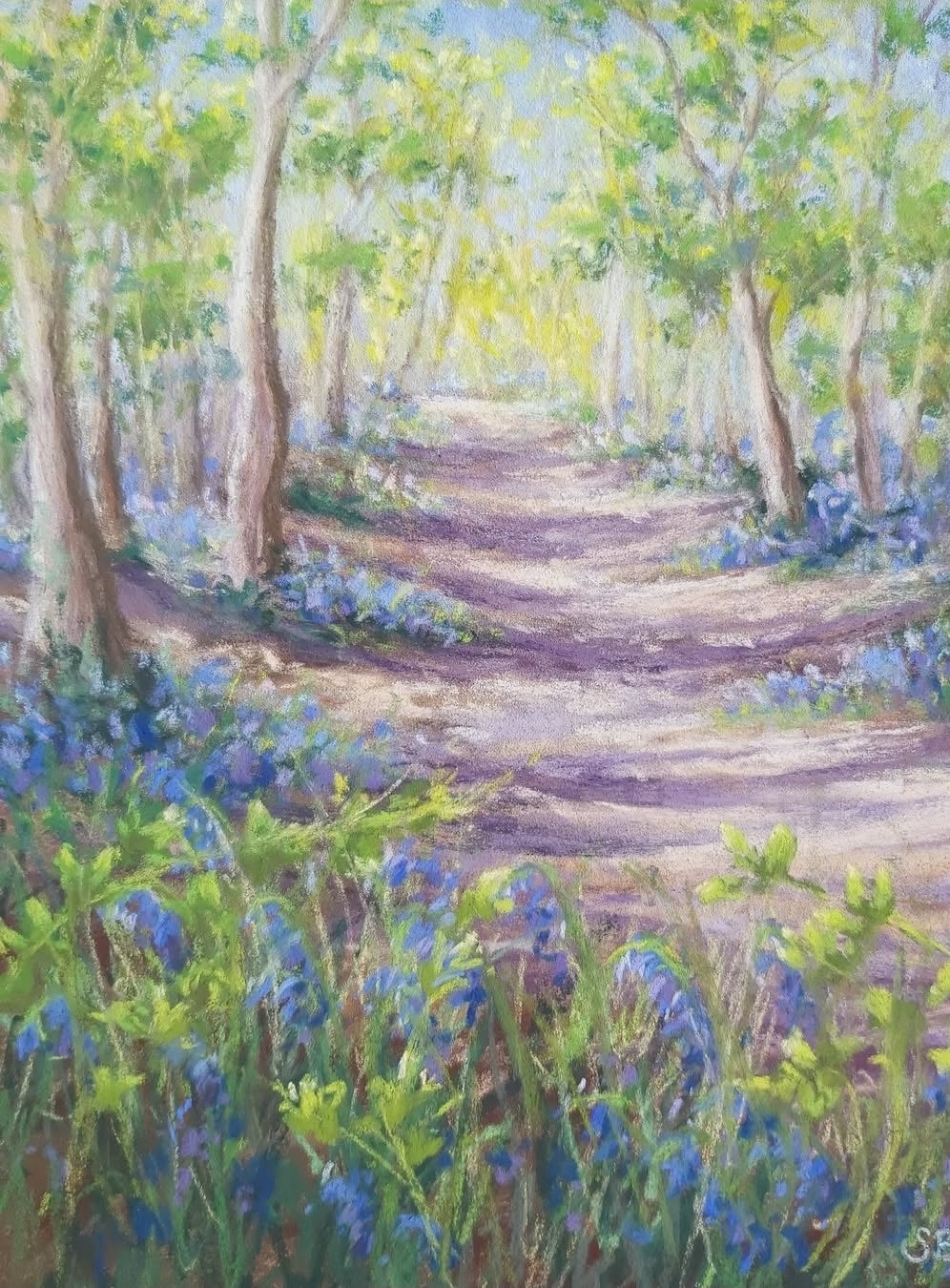 Shall We Walk the Bluebell Path? - Limited Edition Giclée Print
