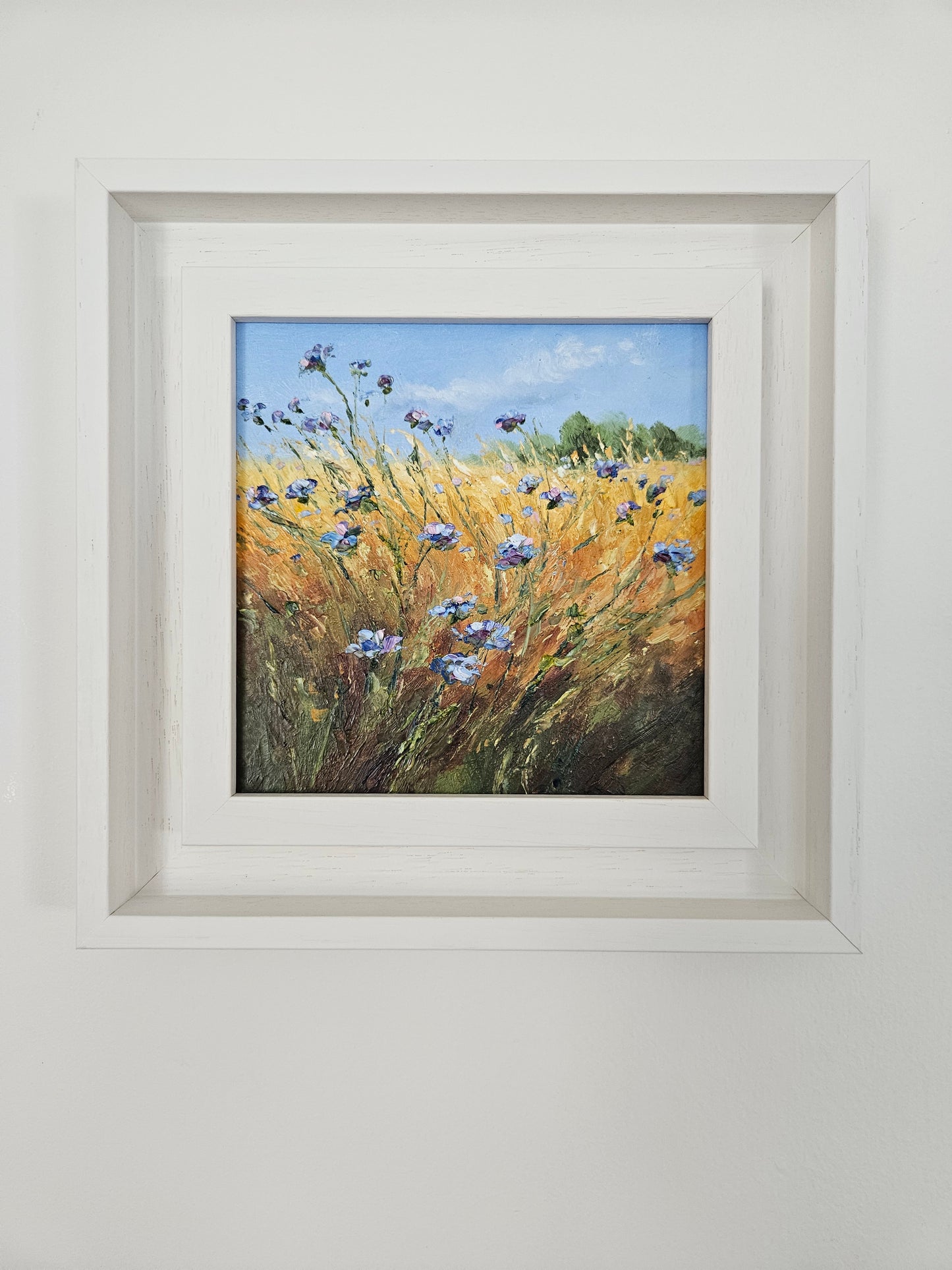 Cornflowers