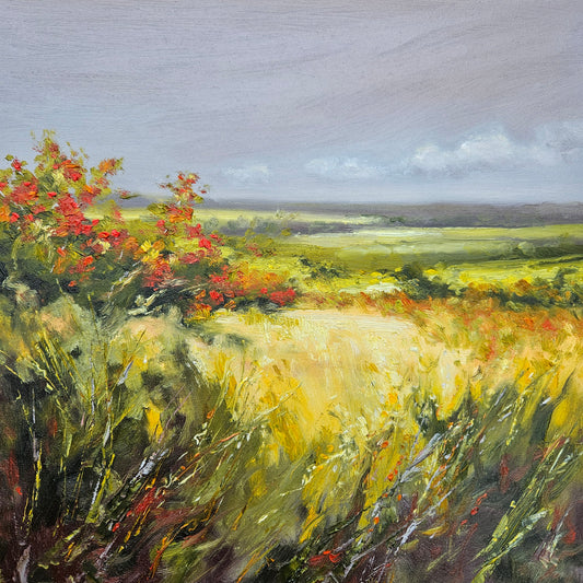 Beyond the Hawthorns