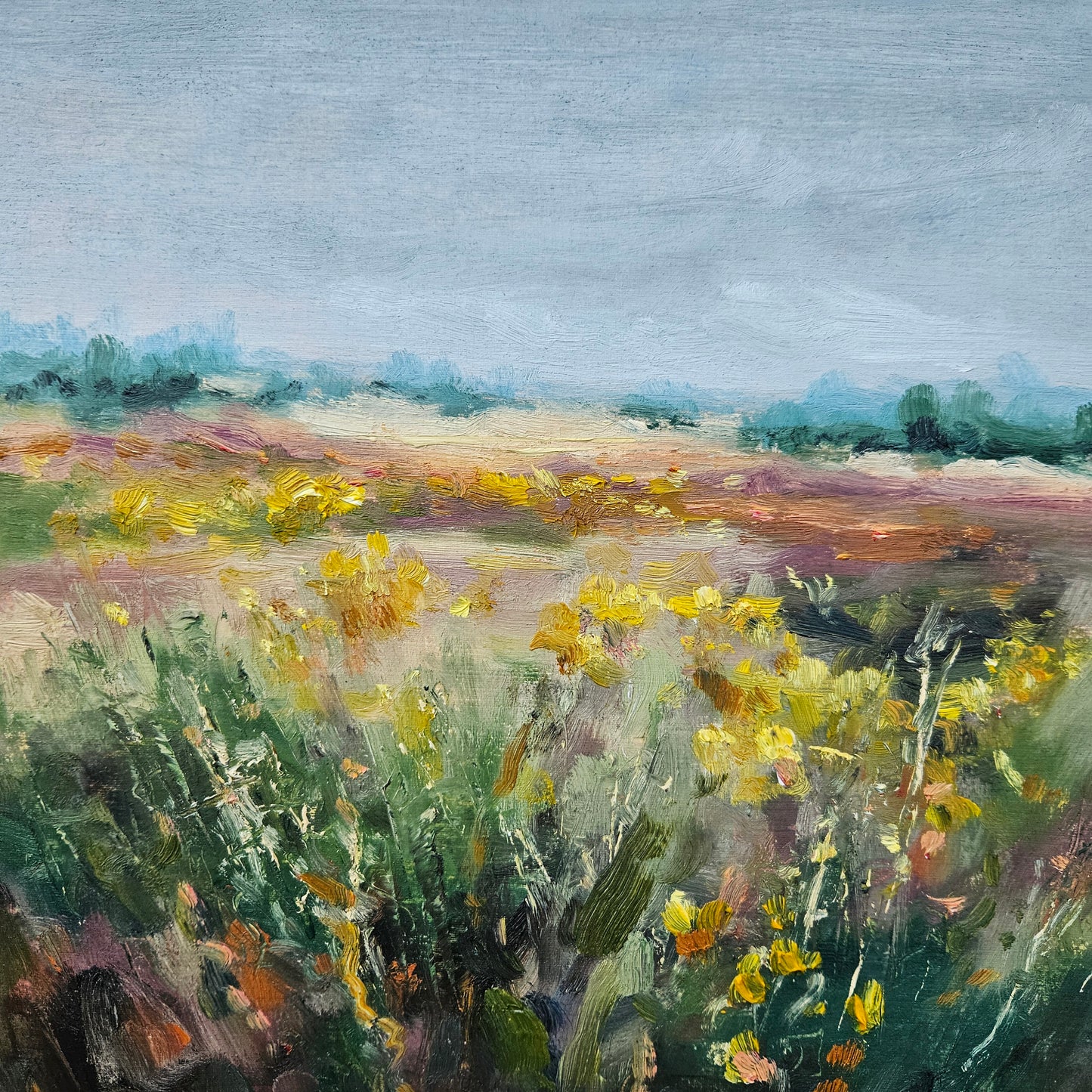 Four Consecutive Classes