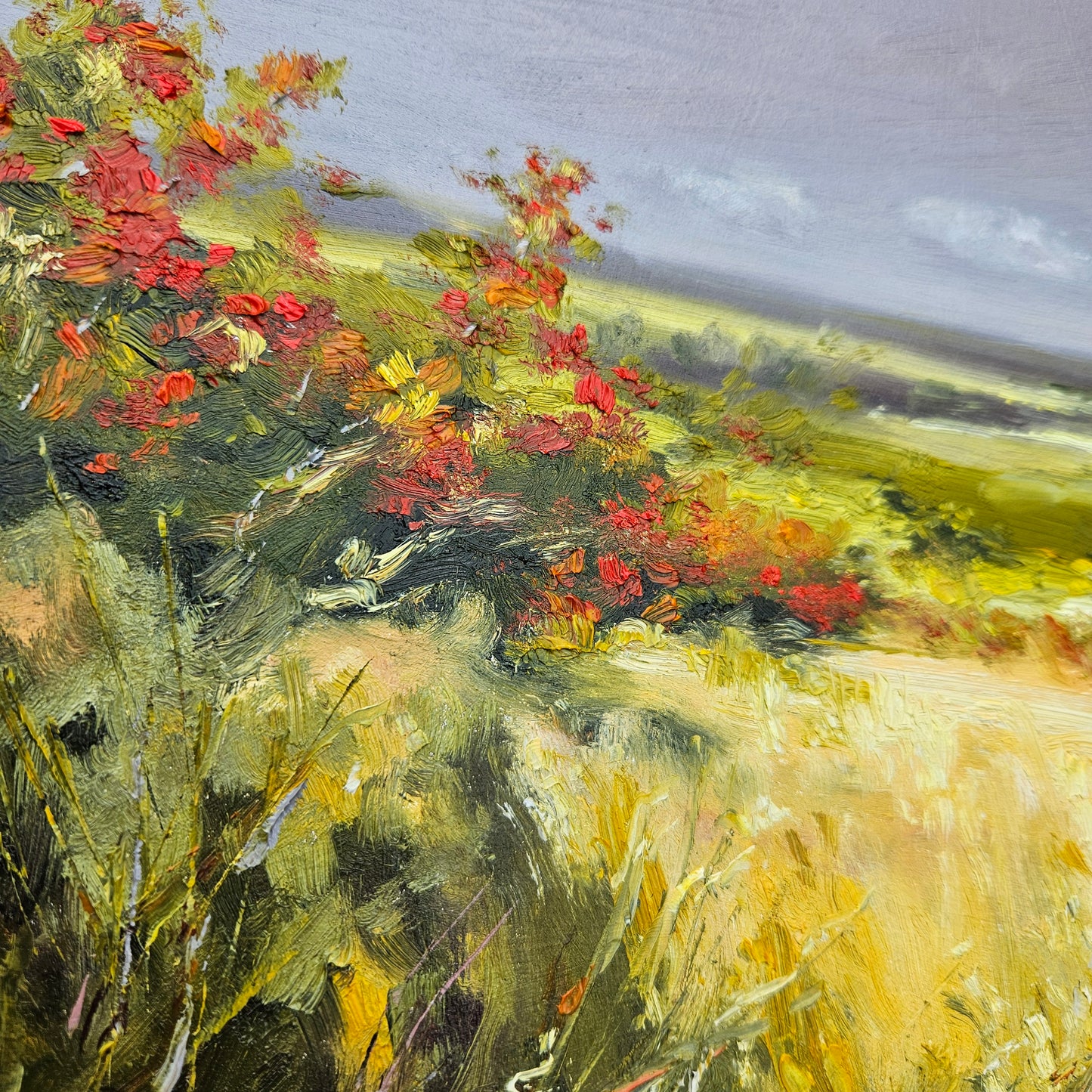 Beyond the Hawthorns