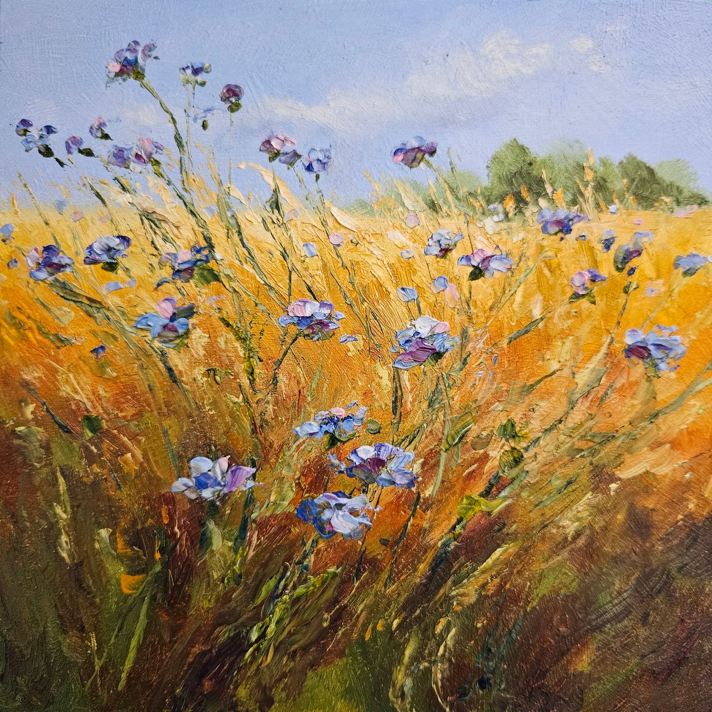 Cornflowers