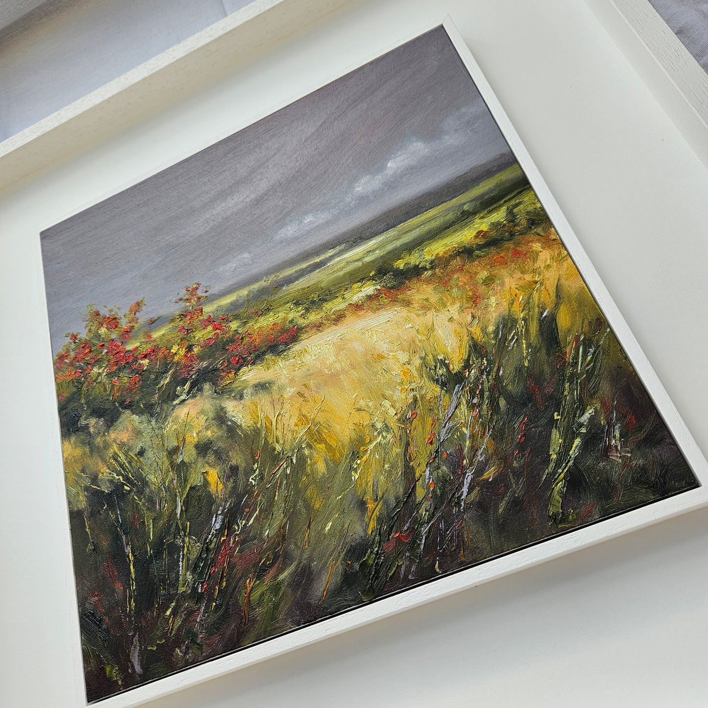 Beyond the Hawthorns