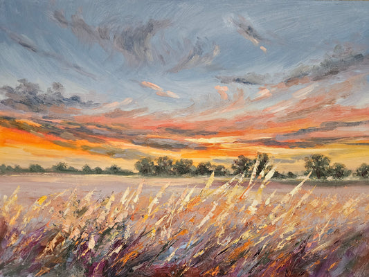 Sunset Towards the Fields