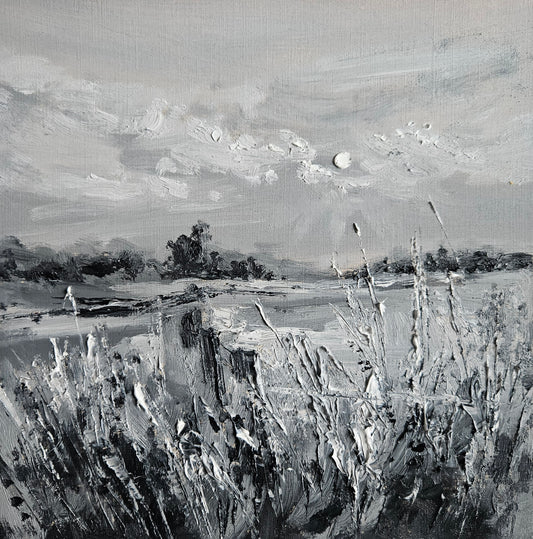 Fields II - Cool Grey Monochome Study
