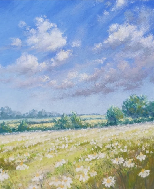 Ox-Eye Daisies - Limited Edition Giclée Print